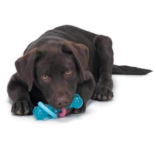 Grriggles Baby Bark TPR Bone Dog Toy