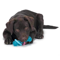 Grriggles Baby Bark TPR Bone Dog Toy
