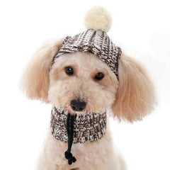 Pom Sweater Dog Hat by Dogo - Brown