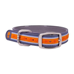 Tangerine Twist Wild Flower Dog Collar
