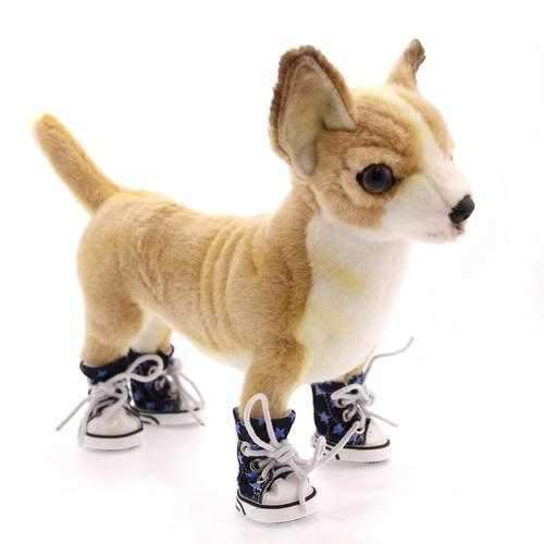 Converse Dog Shoes by Parisian Pet - Denim Stars