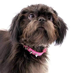 Crystals and Silver Spikes Dog Collar - Bright Pink