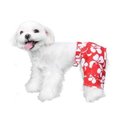 Okinawa Dog Swim Trunks - Red