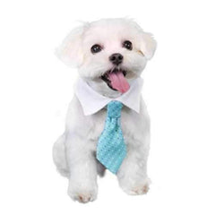 Adrian Dog Shirt Collar and Tie - Blue