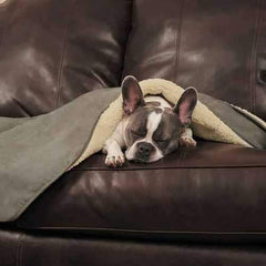 Slumber Pet ThermaPet Burrow Dog Blanket