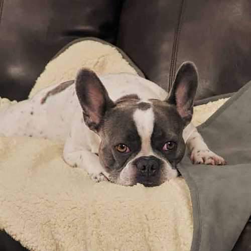 Slumber Pet ThermaPet Burrow Dog Blanket