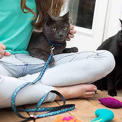 Kitty RC Cat Leash - Bird Teal