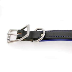 Two-Tone Padded Leather Dog Collar by Auburn Leather - Black and Blue