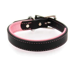 Two-Tone Padded Leather Dog Collar by Auburn Leather - Black and Pink