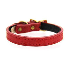 Savannah Leather Dog Collar by Auburn Leather - Lizard Red
