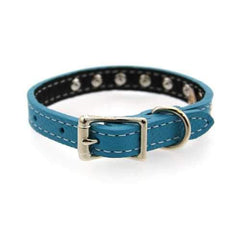Tuscan Crystallized Leather Dog Collar by Auburn Leather - Turquoise