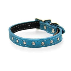 Tuscan Crystallized Leather Dog Collar by Auburn Leather - Turquoise