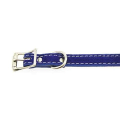 Saratoga Suede Leather Dog Collar by Auburn Leather - Blue