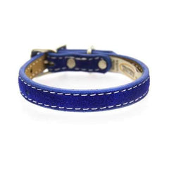 Saratoga Suede Leather Dog Collar by Auburn Leather - Blue