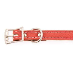 Tuscan Leather Dog Collar by Auburn Leather - Orange