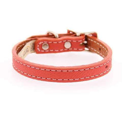 Tuscan Leather Dog Collar by Auburn Leather - Orange