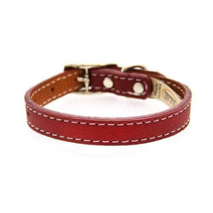 Tuscan Leather Dog Collar by Auburn Leather - Red