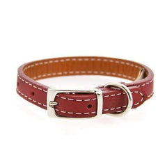 Tuscan Leather Dog Collar by Auburn Leather - Red