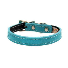 Tuscan Leather Dog Collar by Auburn Leather - Turquoise