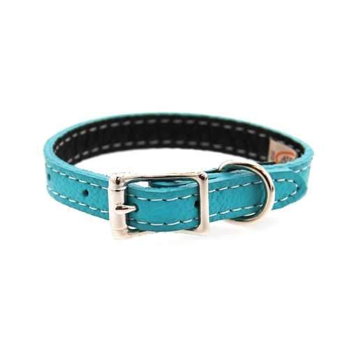 Tuscan Leather Dog Collar by Auburn Leather - Turquoise