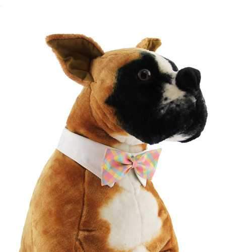 Riley Dog Shirt Collar and Bow Tie - Pastel Plaid