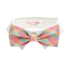 Riley Dog Shirt Collar and Bow Tie - Pastel Plaid