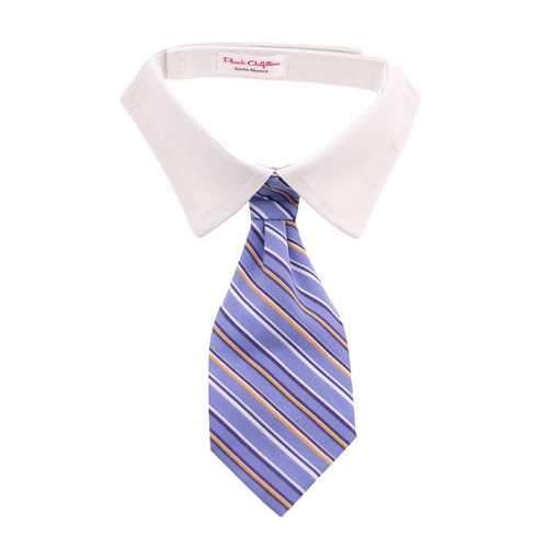 Kyle Dog Shirt Collar and Tie  - Blue Striped