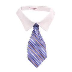 Kyle Dog Shirt Collar and Tie  - Blue Striped