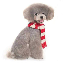 Urban Stripe Dog Scarf by Dogo - Red