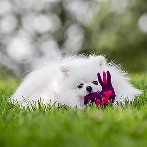 Wooly Wonkz Woodland Cat Toy - Purple Bird