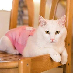Vala Cat Tank Top by Catspia - Pink