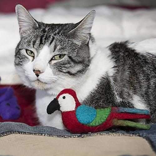 Wooly Wonks Safari Cat Toy - Parrot
