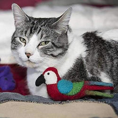 Wooly Wonks Safari Cat Toy - Parrot