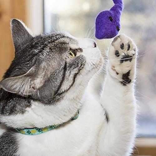 Wooly Wonkz Safari Cat Toy - Purple Snake