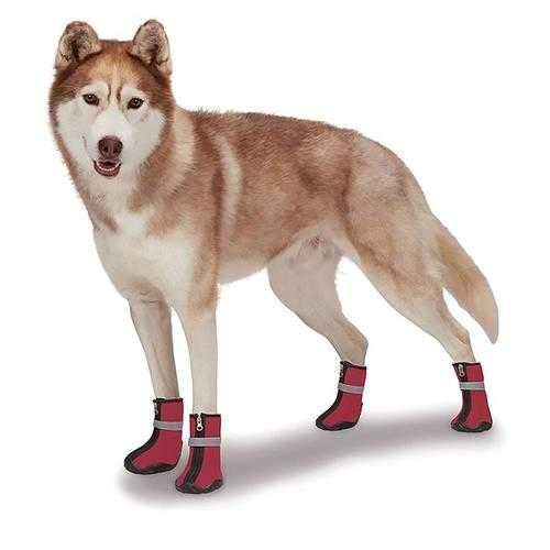 Zack and Zoey ThermaPet Neoprene Boots - Red