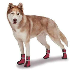 Zack and Zoey ThermaPet Neoprene Boots - Red