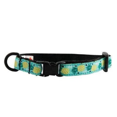 Kitty Breakaway Cat Collar - Pineapple Parade