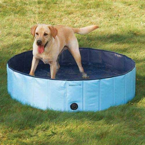 Guardian Gear Cool Pup Splash about Dog Pool - Sky Blue