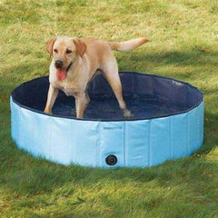Guardian Gear Cool Pup Splash about Dog Pool - Sky Blue