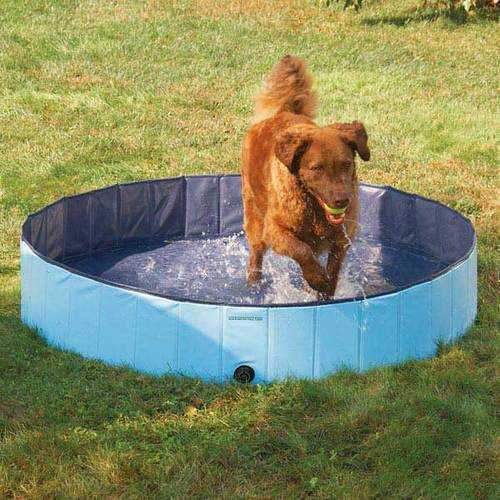 Guardian Gear Cool Pup Splash about Dog Pool - Sky Blue