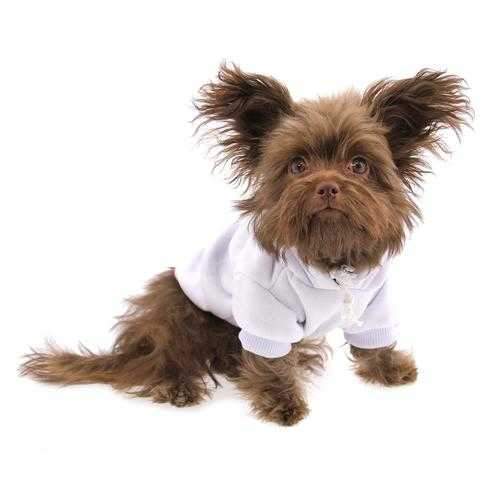 Plain Dog Hoodie - Cream