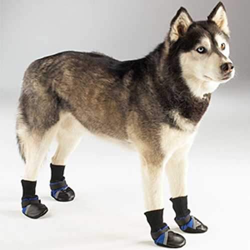 Guardian Gear Dog Boots - Blue
