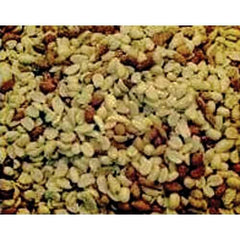 Shelled Peanuts