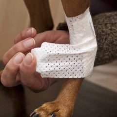 PawFlex Joint Dog Bandages