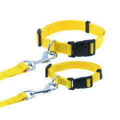 Barking Basics Dog Collar - Yellow