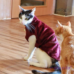 Castor Cat Sweater by Catspia - Wine