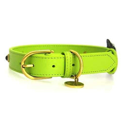 Blue Petal Leather Dog Collar - Green