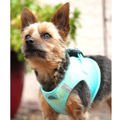 American River Choke-Free Dog Harness - Aruba Blue Ombre