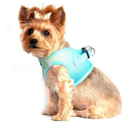 American River Choke-Free Dog Harness - Aruba Blue Ombre