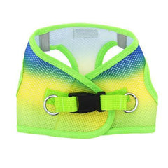 American River Choke-Free Dog Harness - Cobalt Sport Ombre